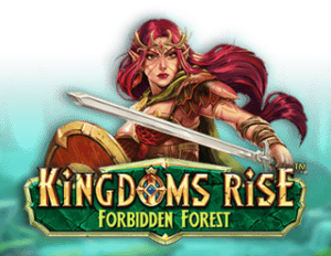 Petualangan Seru di Dunia Mistis Kingdoms Rise